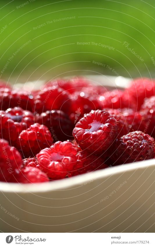 fruity Colour photo Multicoloured Exterior shot Close-up Detail Macro (Extreme close-up) Copy Space top Copy Space bottom Shallow depth of field Fruit Nutrition