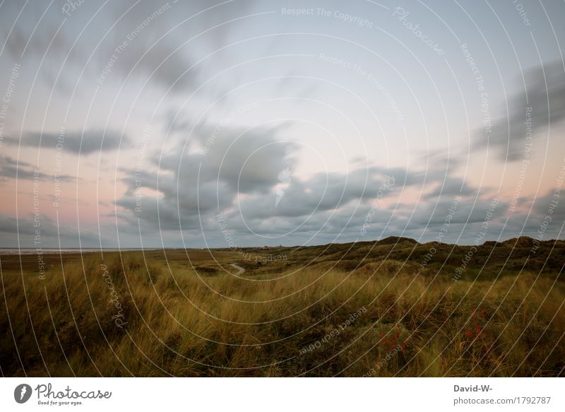 island feeling Art Environment Nature Sky Clouds Horizon Sunrise Sunset Sunlight Summer Autumn Weather Beautiful weather Wind Plant Grass Bushes Coast North Sea