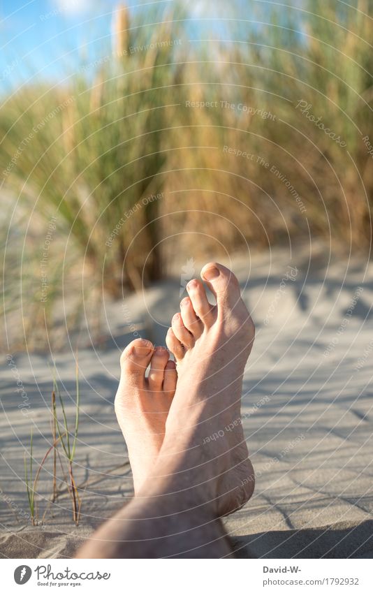 Feet high Healthy Fitness Wellness Life Harmonious Well-being Contentment Senses Relaxation Calm Cure Vacation & Travel Trip Summer Summer vacation Sun