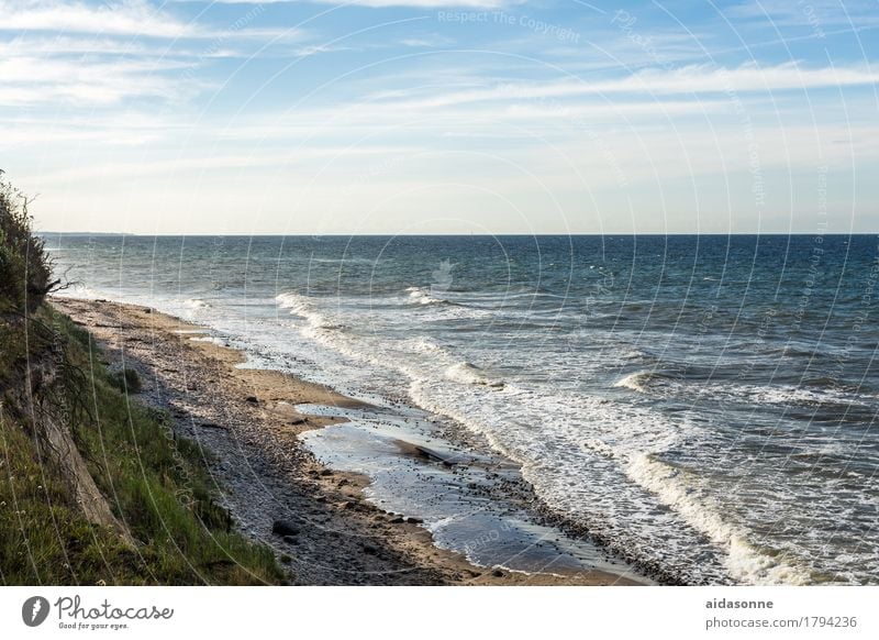 Baltic Nature Landscape Water Baltic Sea Contentment Joie de vivre (Vitality) Attentive Caution Serene Patient Calm Self Control Colour photo Exterior shot