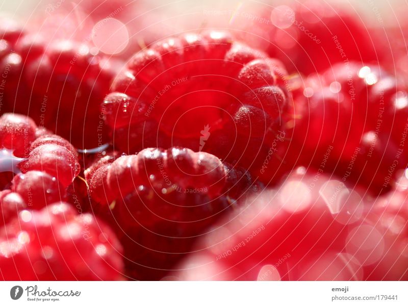 400 BEEREN / red red red Colour photo Exterior shot Close-up Detail Macro (Extreme close-up) Shallow depth of field Fruit Nutrition Organic produce