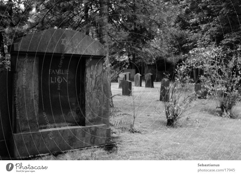Family Lion Cemetery Tombstone Grave Historic Black & white photo Death