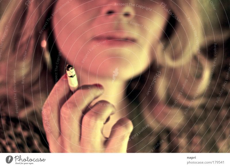 Lili Marlene Subdued colour Interior shot Close-up Night Shallow depth of field Feminine Woman Adults Life Head Hair and hairstyles Hand Fingers Elements Pelt