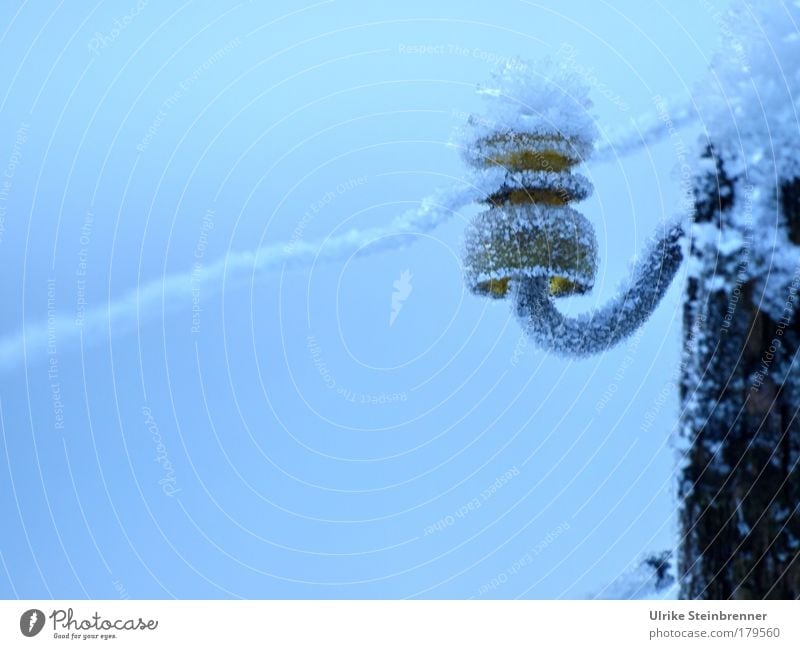 Ice crystals on the insulator of a pasture fence Colour photo Exterior shot Deserted Copy Space bottom Day Cable Energy industry Winter Frost Field Farm animal