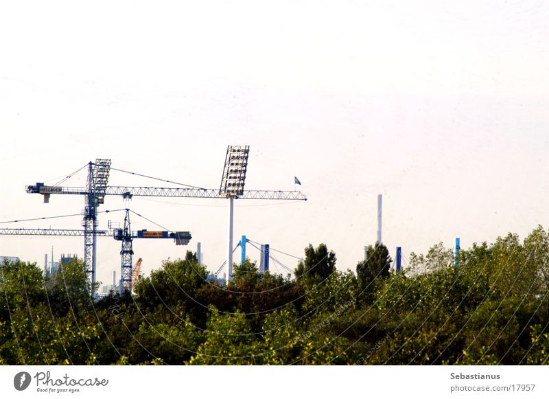MSV Arena (construction phase) Stadium Crane Floodlight Football stadium Tree Duisburg