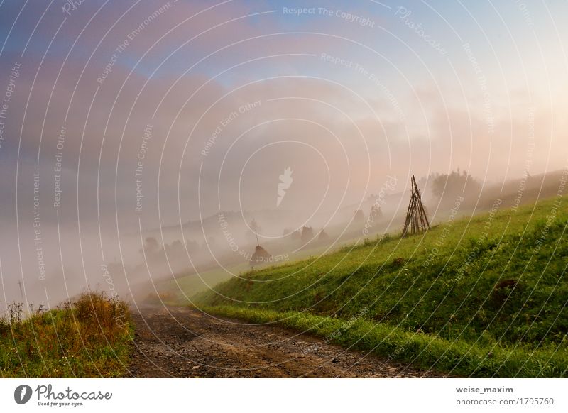 Autumn September foggy morning in mountains Vacation & Travel Tourism Trip Adventure Far-off places Freedom Mountain Environment Nature Landscape Sky Clouds