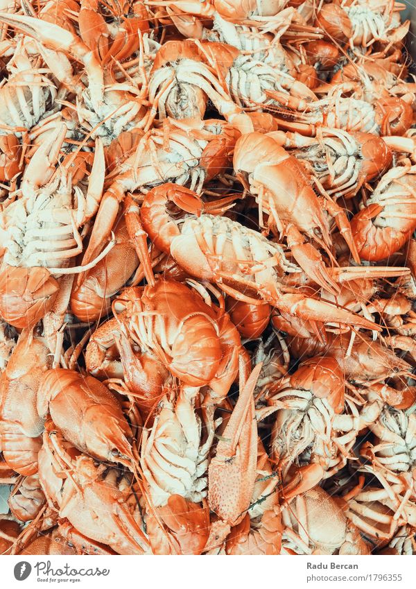 Lobsters And Shrimps For Sale In Fish Market Food Meat Seafood Nutrition Eating Lunch Dinner Organic produce Diet Healthy Eating Ocean Animal Group of animals