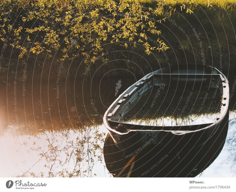 fishing boat Nature Autumn Plant Lakeside River bank Wet Watercraft Spree Spreewald Go under Surface of water Fishing boat Tree Old Broken Colour photo