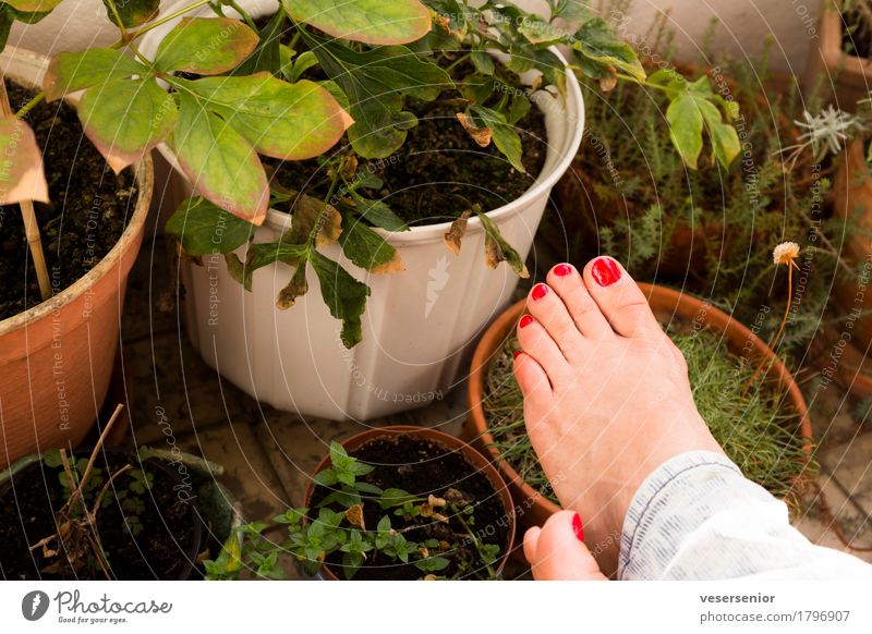 balcony life Nail polish Balcony Life Feet Pot plant Think Relaxation To enjoy Sit Dream Simple Fresh Beautiful Uniqueness Eroticism Feminine Contentment