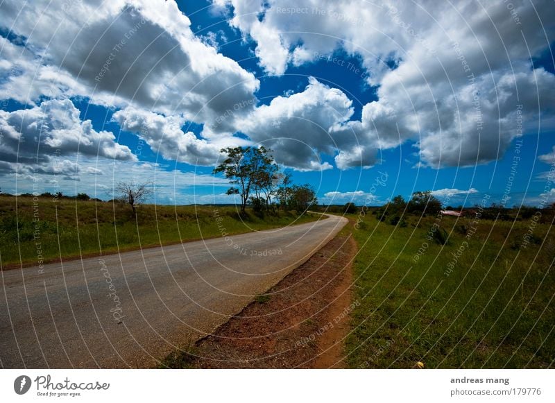 way home Colour photo Exterior shot Day Contrast Deep depth of field Wide angle Vacation & Travel Event Nature Landscape Sky Clouds Beautiful weather Wind Tree