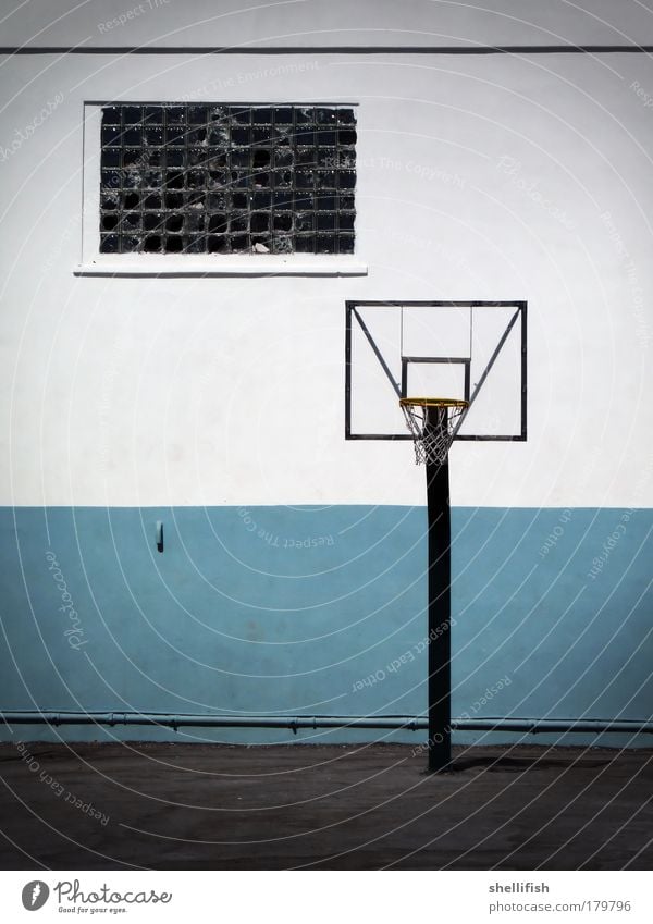 Basketball monotony in blue white Colour photo Exterior shot Polaroid Deserted Copy Space left Day Contrast Central perspective Leisure and hobbies Playing