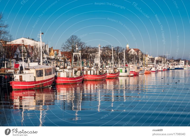 Fishing boats on the old river in Warnemünde Vacation & Travel Tourism Ocean Winter Nature Landscape Water Cloudless sky Coast Architecture Tourist Attraction