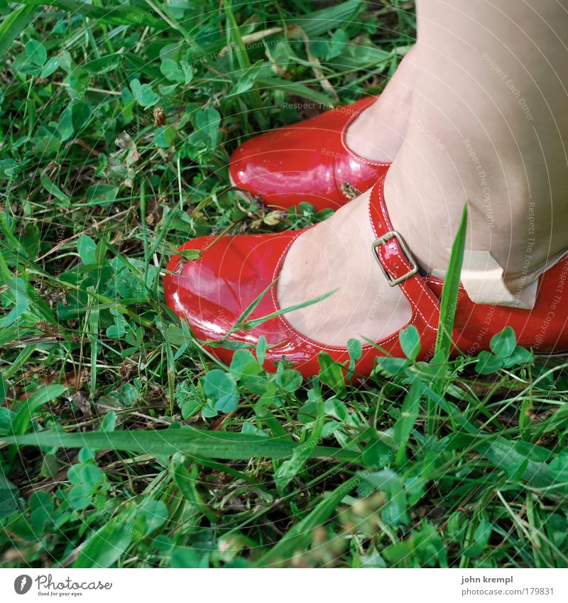 the wicked witch Colour photo Exterior shot Copy Space left Style Feminine Feet 1 Human being Summer Grass Garden Park Meadow Footwear Crouch Sit Glittering