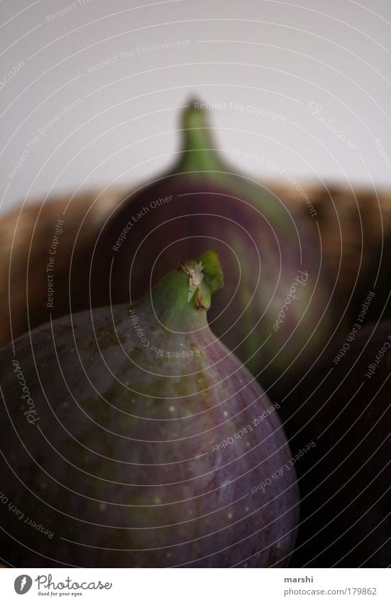 figs Colour photo Food Fruit Nutrition Nature Delicious Dark green Violet Blur Fig Fig tree Decoration Fresh Plant