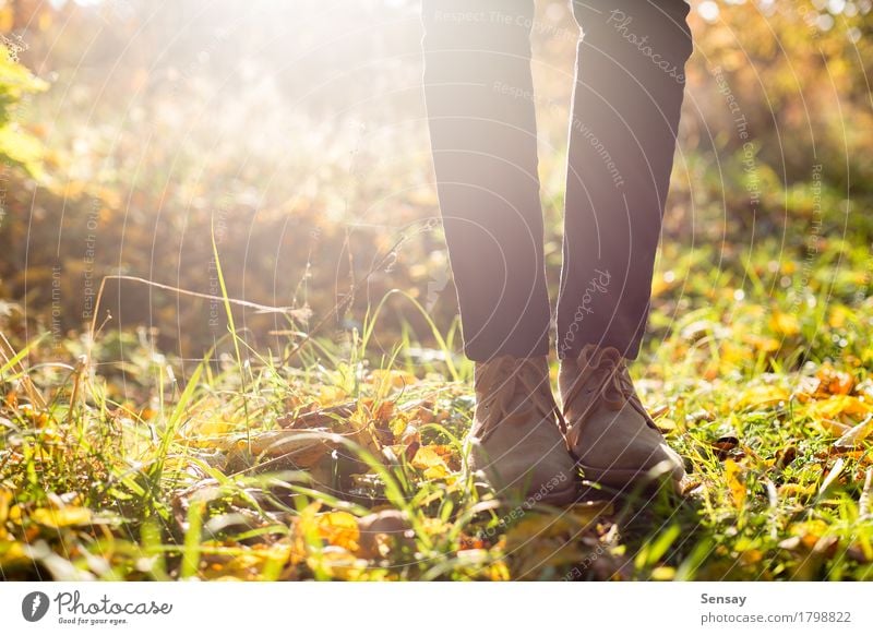 Legs in stylish boots on autumn background Beautiful Summer Sun Human being Girl Woman Adults Man Feet Nature Autumn Leaf Park Forest Jeans Footwear Boots
