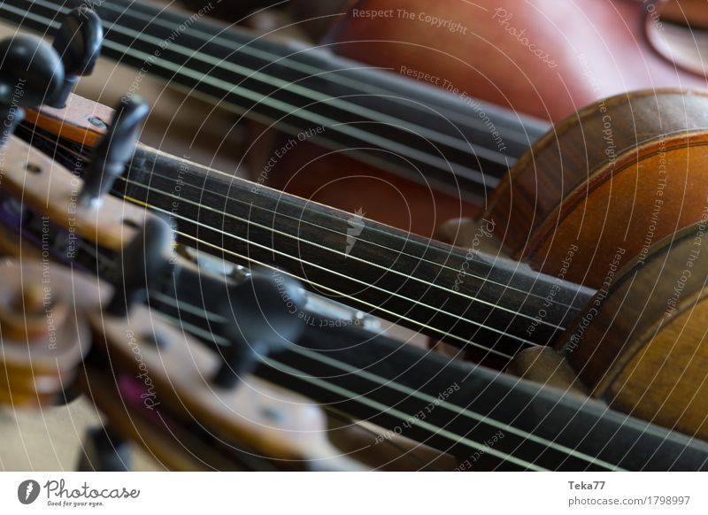 Violins I Style Music Collection Wood Esthetic fiddles violin making Colour photo Interior shot Studio shot Close-up Detail Macro (Extreme close-up) Deserted
