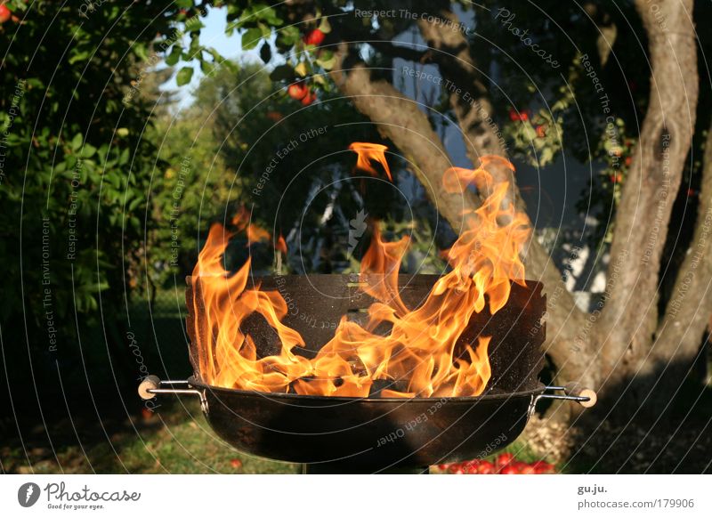 THE FLAMING GRILL MKII Colour photo Exterior shot Evening Sunlight Summer Feasts & Celebrations Nature Fire Garden Barbecue (apparatus) Hot Barbecue (event)