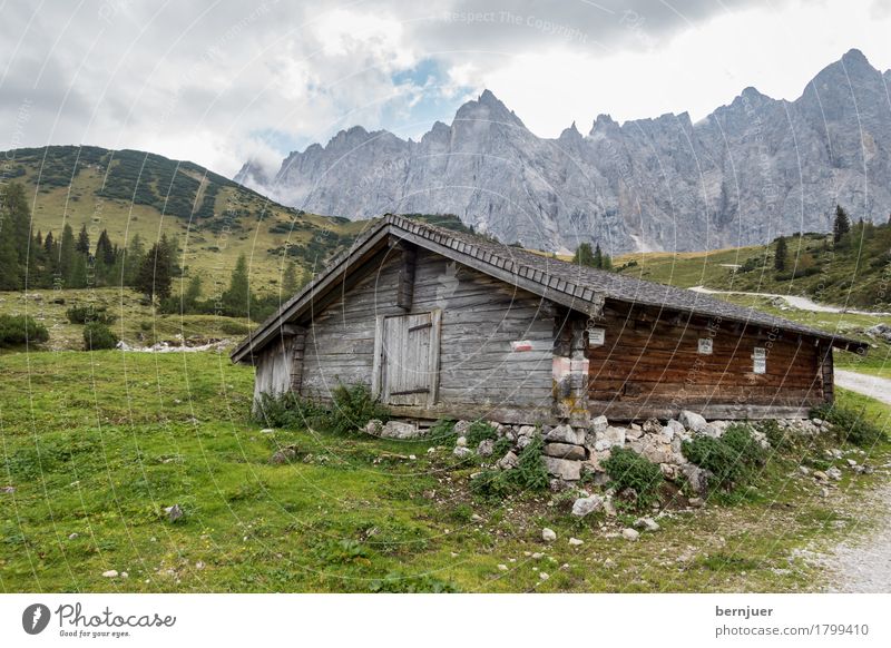 hut Nature Landscape Sky Clouds Weather Plant Tree Grass Alps Mountain Peak Old Authentic Sharp-edged Blue Green Hut Bavaria Rock Wall of rock Forest road