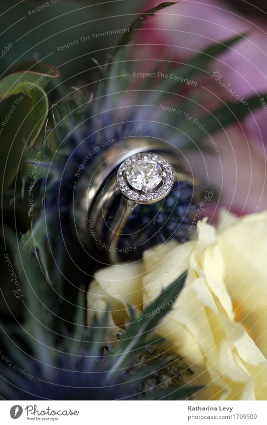 Wedding ring Engagement ring Wedding ring Bridal bouquet Flowers Luxury Elegant Style Plant Rose Decoration Bouquet Glittering Beautiful Blue Yellow Pink Silver
