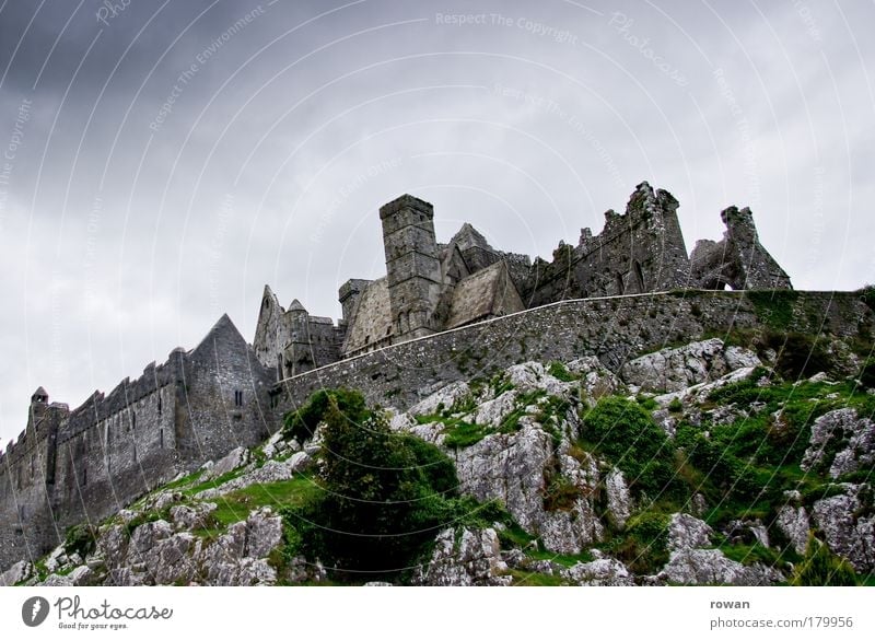 knight's castle Colour photo Exterior shot Deserted Copy Space top Day Church Castle Ruin Manmade structures Building Architecture Threat Dark Large Creepy Cold