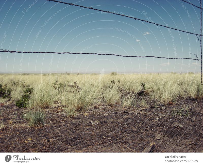 To build a fence. Subdued colour Exterior shot Deserted Day Sunlight Central perspective Landscape Sky Summer Beautiful weather Drought Plant Grass Bushes