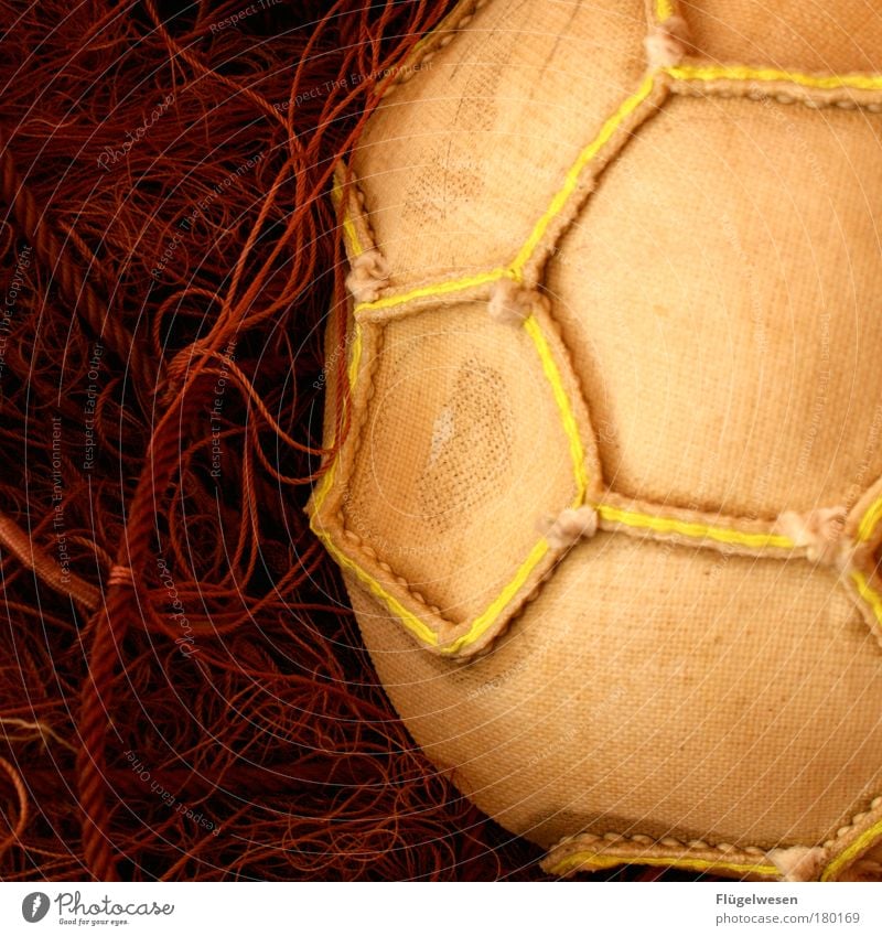 We're back in East Soccer! Colour photo Interior shot Lifestyle Leisure and hobbies Sports Ball Net Close-up Detail Stitching stitched Foot ball Yellow Surface