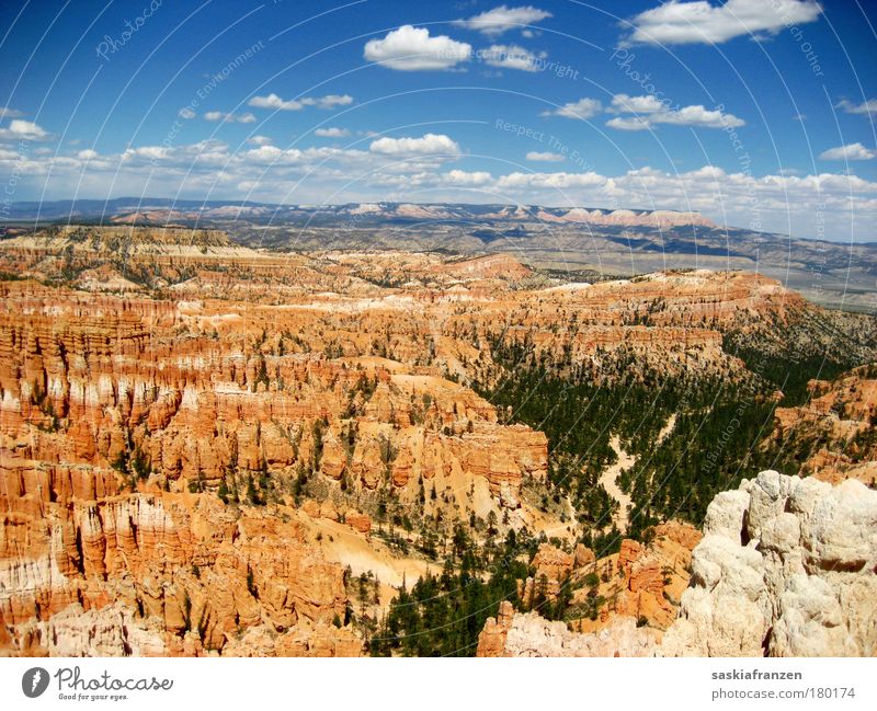 Bryce. Colour photo Exterior shot Deserted Day Sunlight Vacation & Travel Tourism Trip Far-off places Freedom Summer Summer vacation Environment Nature