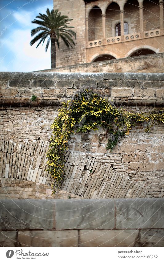 La Seu, Palma de Mallorca, Spain Colour photo Exterior shot Structures and shapes Deserted Day Shallow depth of field Exotic Vacation & Travel City trip Island