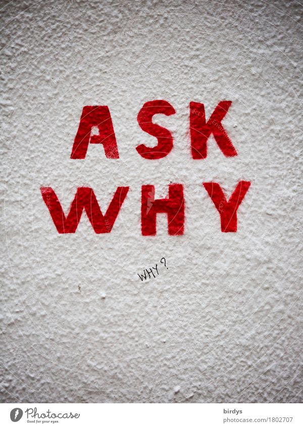 ask why Wall (barrier) Wall (building) Characters Graffiti Think Curiosity Rebellious Gray Red White Brave Responsibility Watchfulness Conscientiously Truth