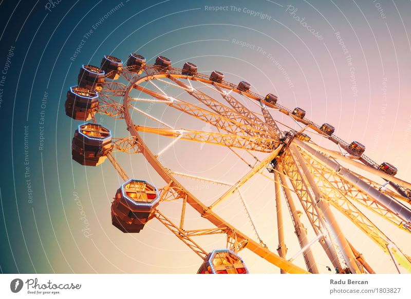 Giant Ferris Wheel In Fun Park On Night Sky Joy Vacation & Travel Summer Entertainment Fairs & Carnivals Architecture Town Downtown Manmade structures Building