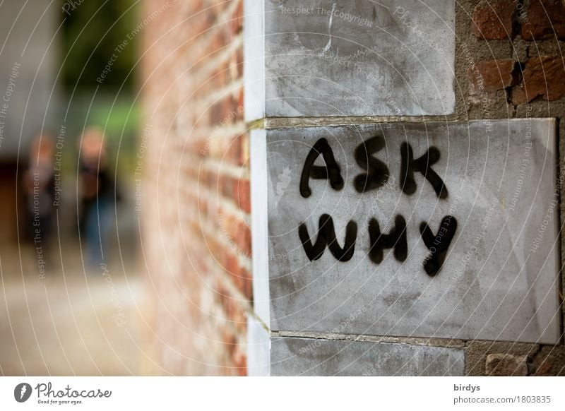 Graffiti: Women want revolution - a Royalty Free Stock Photo