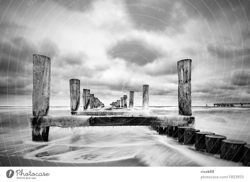 Stage at the Baltic Sea coast Vacation & Travel Tourism Beach Winter Nature Landscape Water Clouds Coast Cold Blue Black White Idyll Break water Ice Zingst