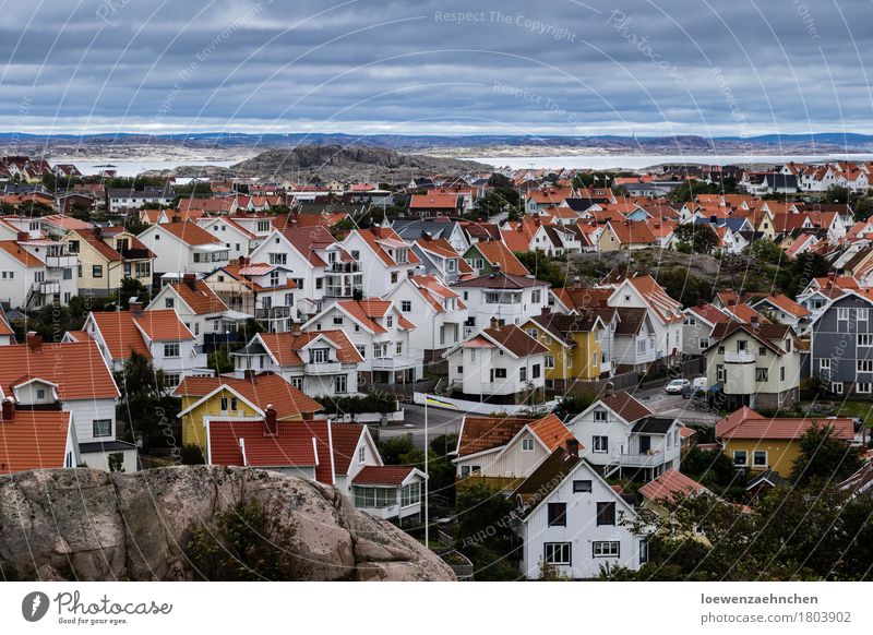 sea of houses Village Small Town Populated House (Residential Structure) Red White Life Vacation & Travel Living or residing Colour photo Exterior shot Deserted