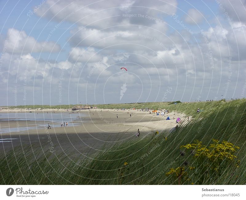 Beach at Renesse (NL) Clouds Hang gliding Grass Sand Beach dune Water Sun