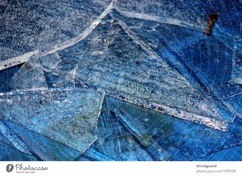 Coming Soon Colour photo Detail Deserted Day Reflection Water Winter Ice Frost Freeze Firm Cold Wet Blue White Purity Dangerous Environmental pollution