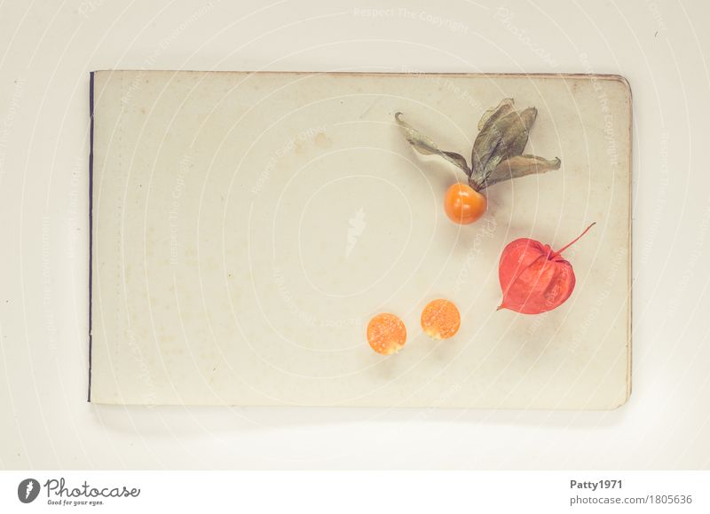 Physalis alkekengi Food Fruit Chinese lantern flower Still Life Nutrition Vegetarian diet Healthy Retro Round Sour Sweet Orange Colour photo Studio shot