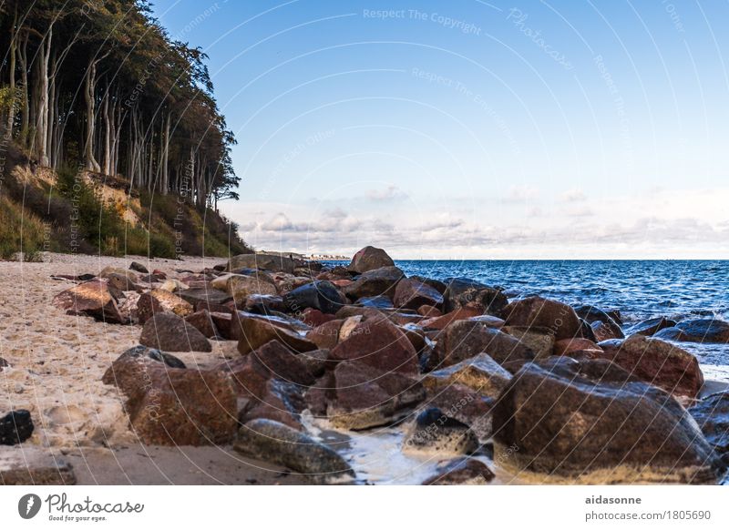 Baltic Landscape Water Baltic Sea Attentive Caution Serene Patient Calm Self Control Multicoloured Exterior shot Deserted Day
