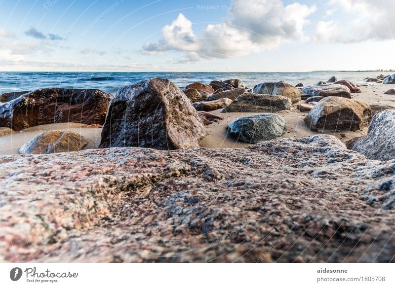 Baltic beach Landscape Water Clouds Attentive Caution Serene Patient Calm Colour photo Exterior shot Deserted Day