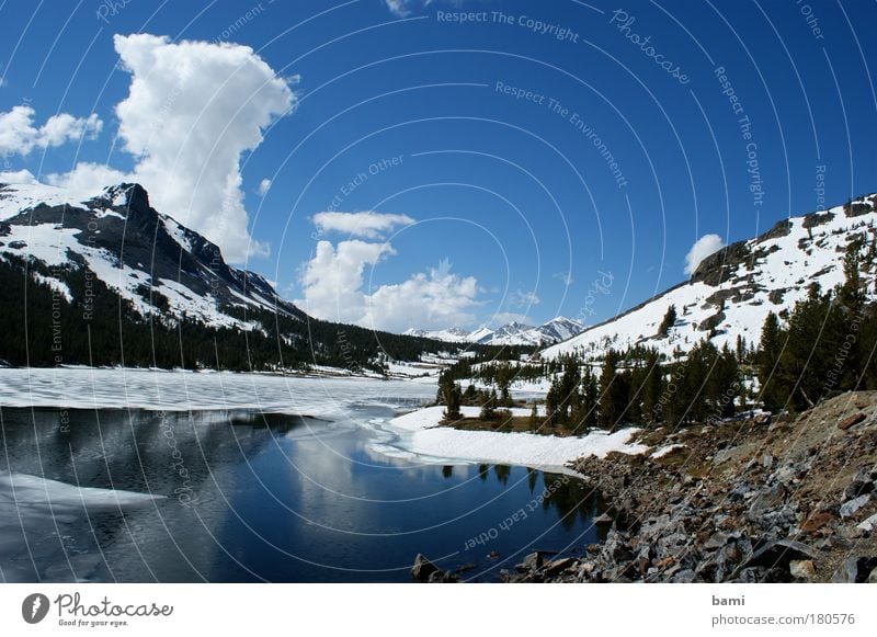 Lake in Yosemite NP Colour photo Exterior shot Deserted Day Reflection Central perspective Nature Landscape Water Sky Beautiful weather Snow Park Mountain