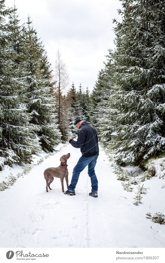 winter fun Leisure and hobbies Playing Trip Winter Snow Winter vacation Human being Masculine Man Adults Nature Weather Snowfall Tree Forest Lanes & trails