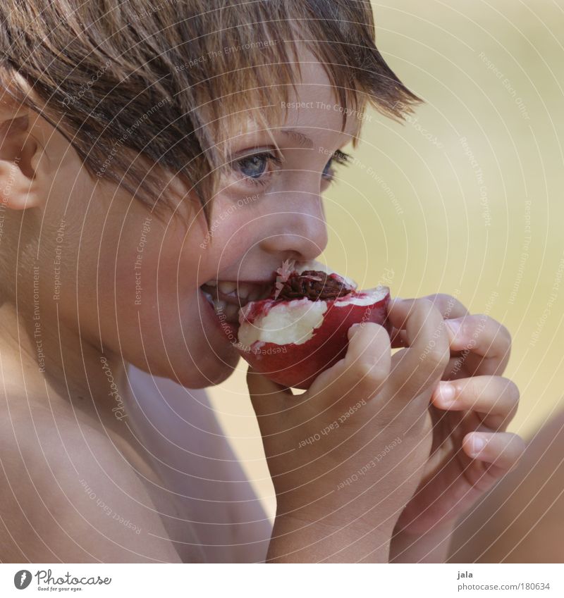 teasing. Colour photo Exterior shot Day Light Portrait photograph Forward Food Fruit Human being Masculine Boy (child) Infancy Head 1 3 - 8 years Child Eating