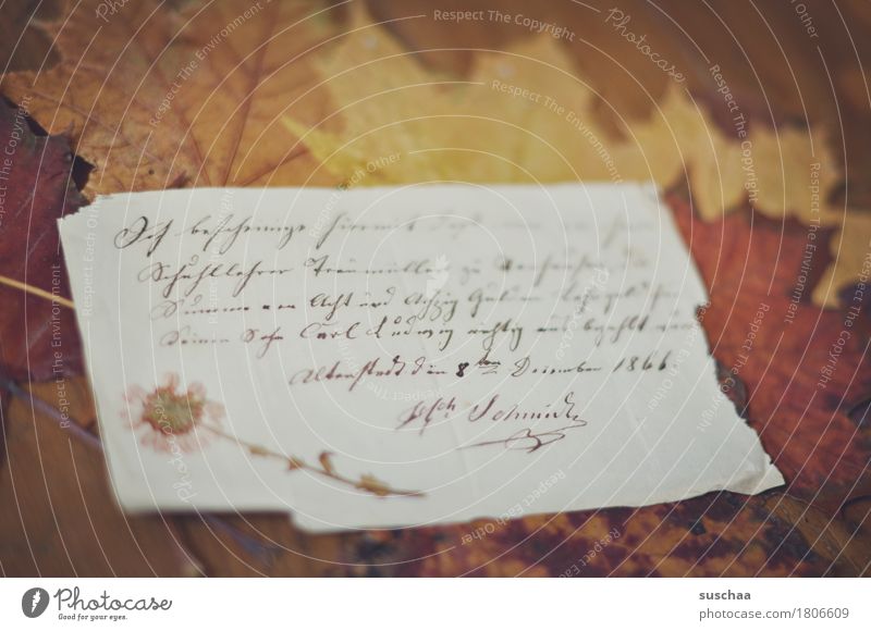 communication in the past Letter (Mail) Old Culture Document Handwriting abatement Yellowed Broken Paper Past Transience foliage Autumn emotionally Memory