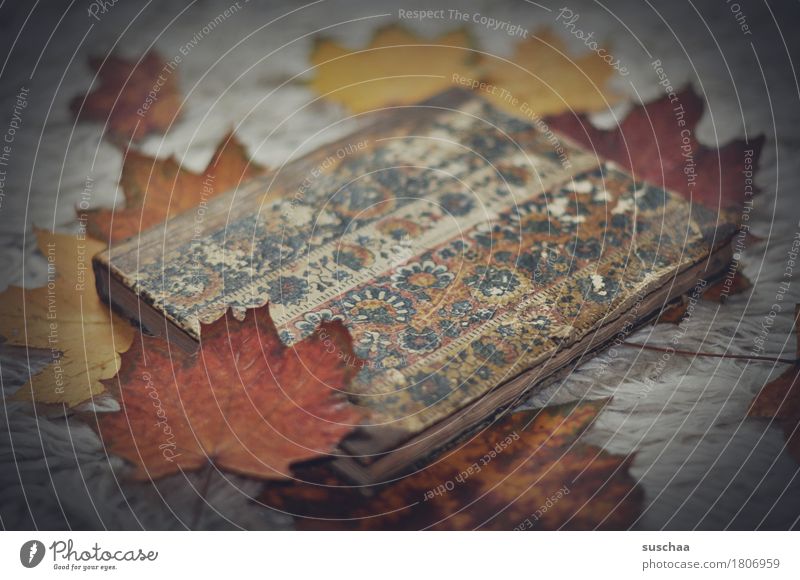 old book IX Book Notebook Binding Reading Write Print media Autumn Cozy Paper Old Retro Dark Sadness Old fashioned Literature Library Know Analog Nostalgia