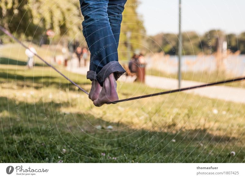 Slackline, rope, feet Balance Slacklining Wirewalker Masculine Legs Feet 1 Human being 18 - 30 years Youth (Young adults) Adults Beautiful weather Tree Park