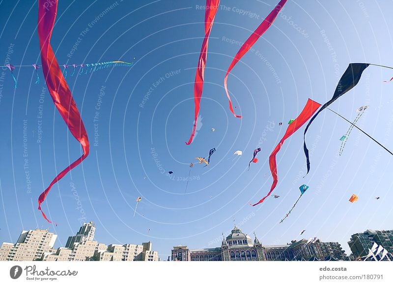 |Kite|#1| Colour photo Exterior shot Deserted Morning Light Shadow Contrast Silhouette Worm's-eye view Sky kite Observe Looking Fantastic Free Infinity Blue Red