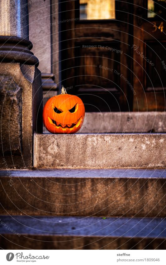 Halloween Vegetable Creepy Hallowe'en USA trick or treat Pumpkin pumpkin face Carve Grimace Stairs Entrance Tradition Public Holiday Colour photo Exterior shot