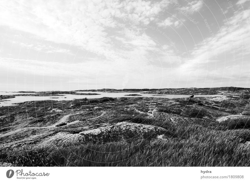 Wide archipelago landscape in Sweden in black and white Ocean Landscape Elements Air Sky Clouds Wind Rock Coast Bay Fjord Reef Baltic Sea Island Gloomy Wild