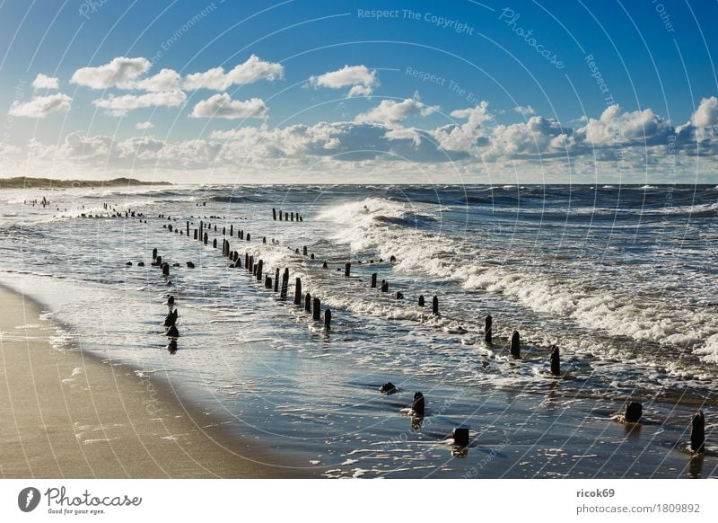 The Baltic Sea coast on a stormy day Relaxation Vacation & Travel Tourism Beach Ocean Nature Landscape Water Clouds Gale Coast Wood Romance Idyll groynes