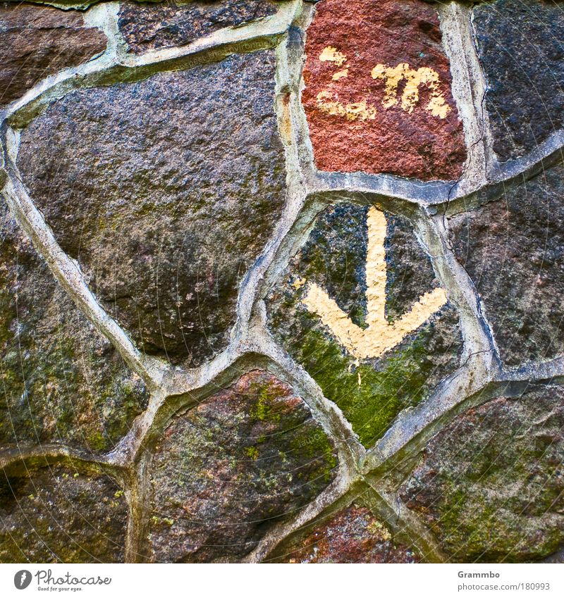 fool's hands ... Colour photo Exterior shot Deserted Central perspective Village House (Residential Structure) Castle Manmade structures Wall (barrier)