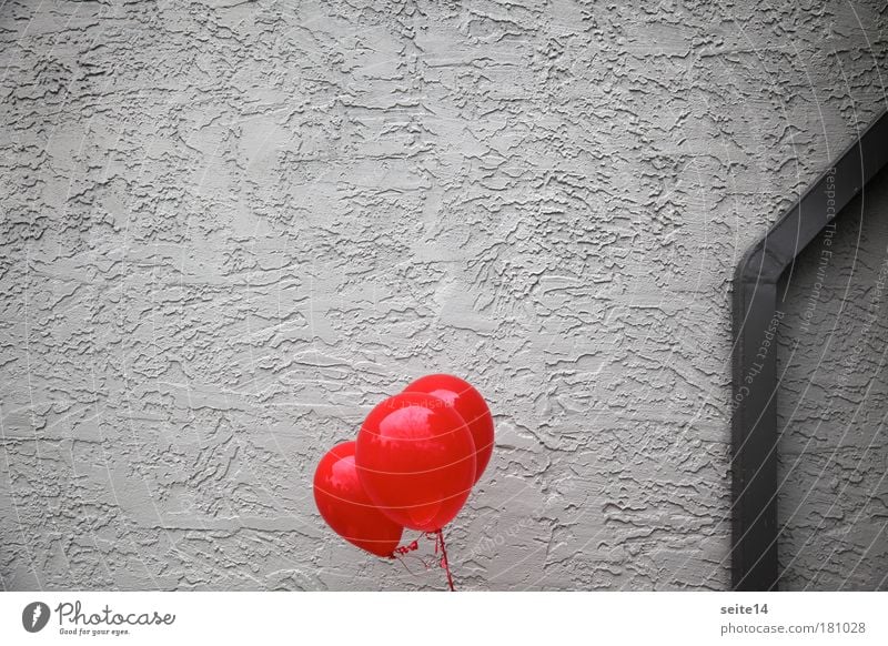 Grey Burgundy Colour photo Deserted Copy Space left Copy Space top Neutral Background Day Wall (barrier) Wall (building) Facade Authentic Gray Red Ease Balloon
